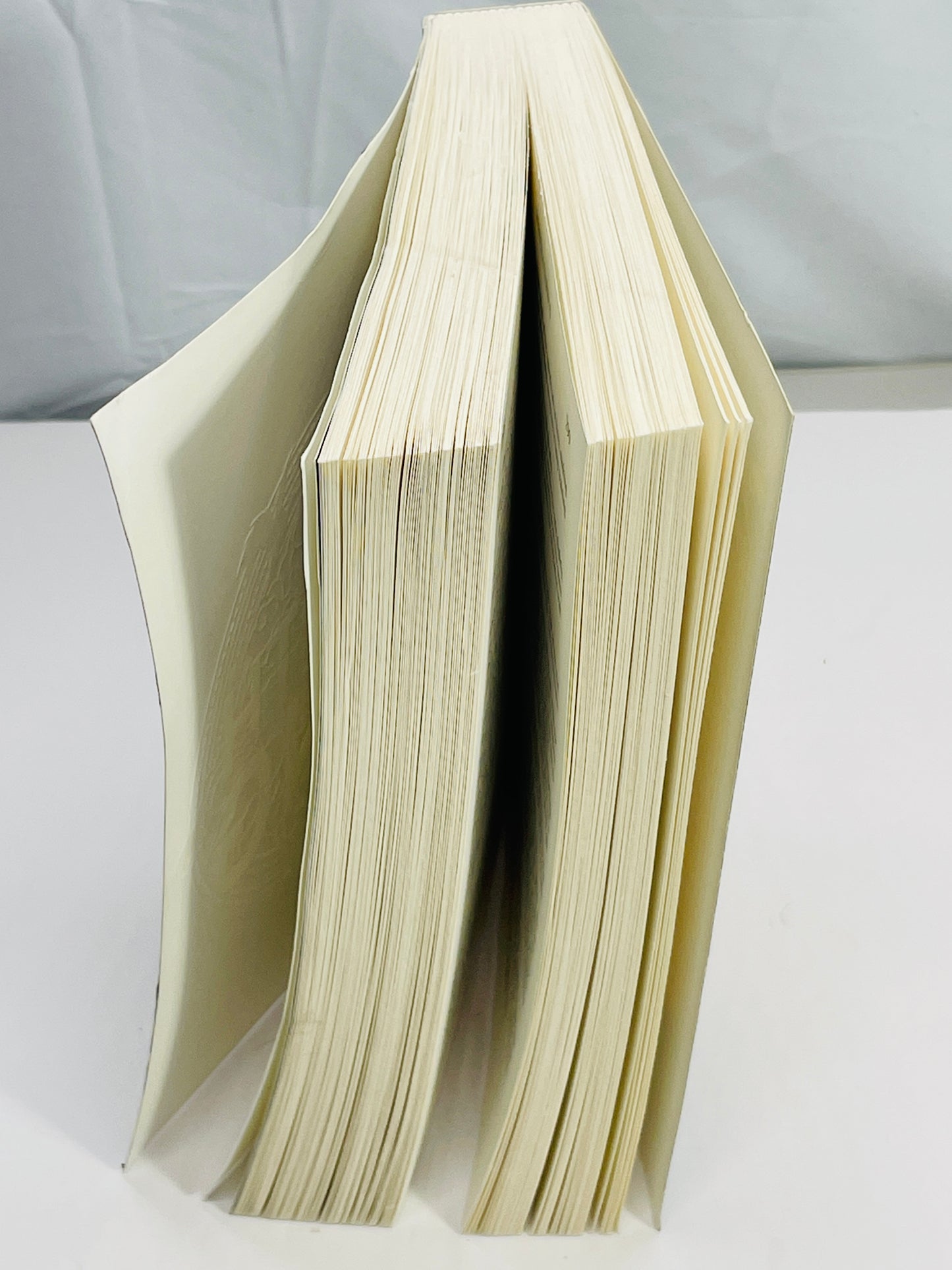 Fourth Wing by Rebecca Yarros LT WEAR