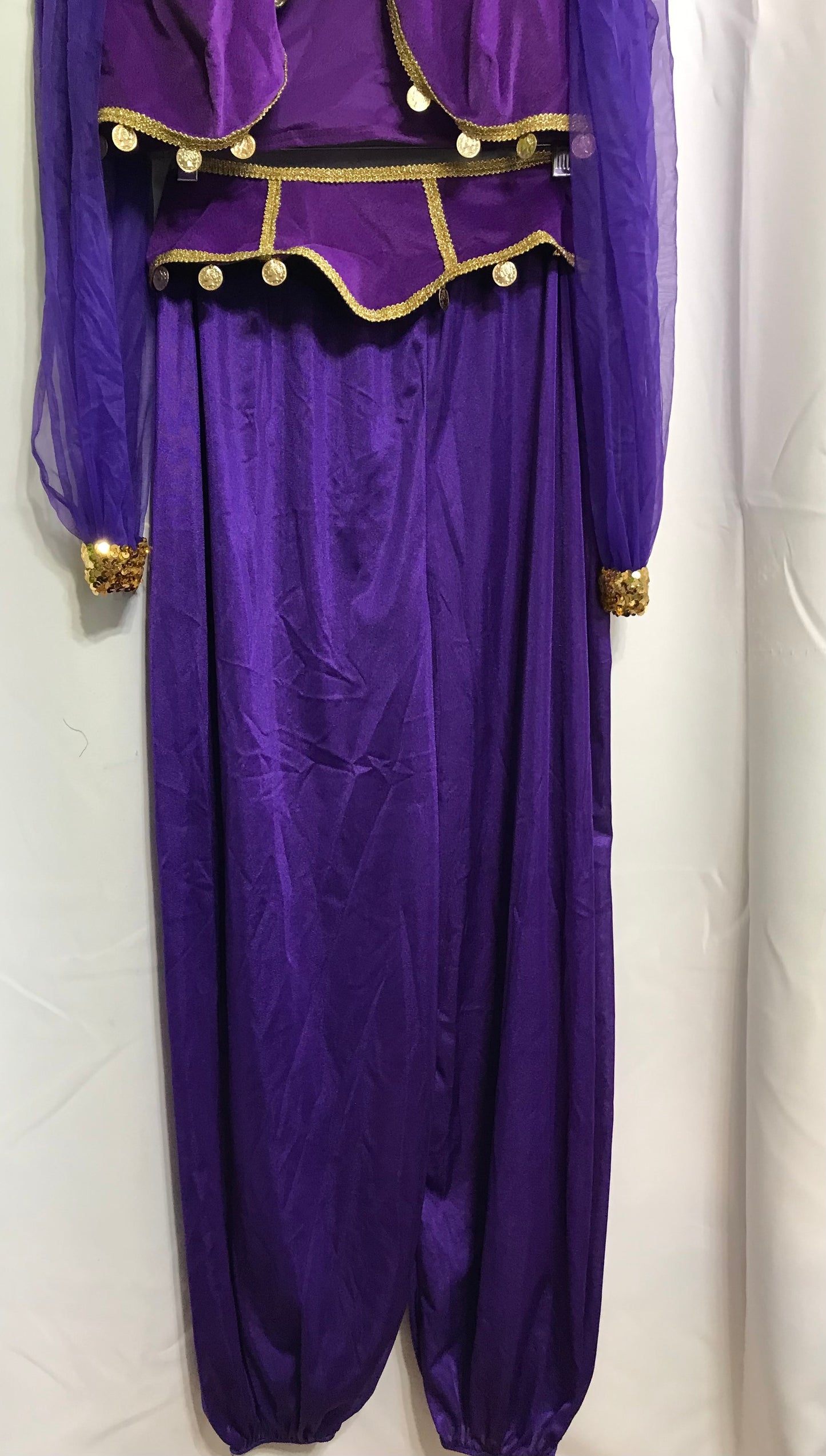 COSTUME Purple Gypsy Belly Dancer Costume Ladies M