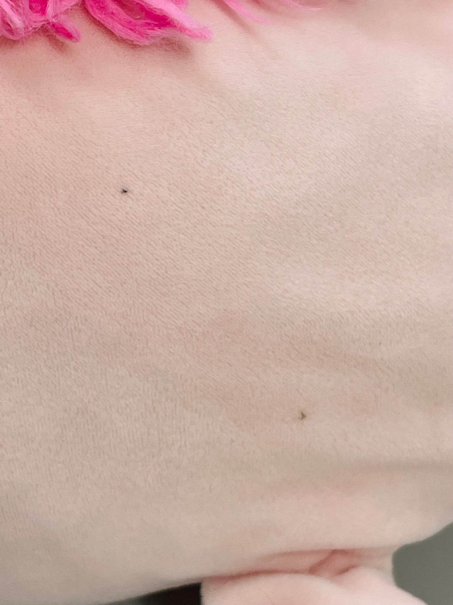 Squishmallows 14" Caparinne Pink Bigfoot LT WEAR Freshly Laundered