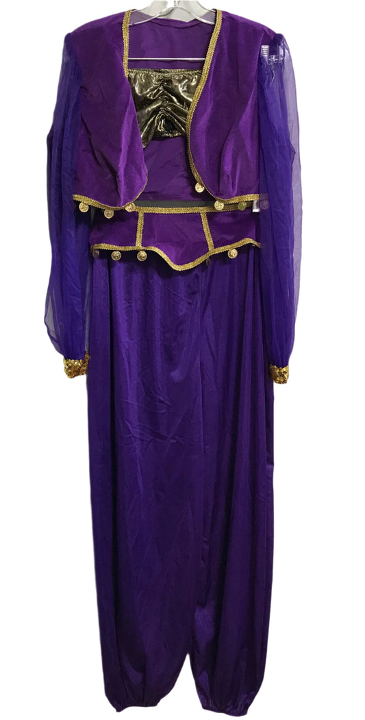 COSTUME Purple Gypsy Belly Dancer Costume Ladies M