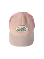 American Eagle Carebears Trucker Hat Ball Cap Pink Corduroy Snap Back One Size Lt Wear