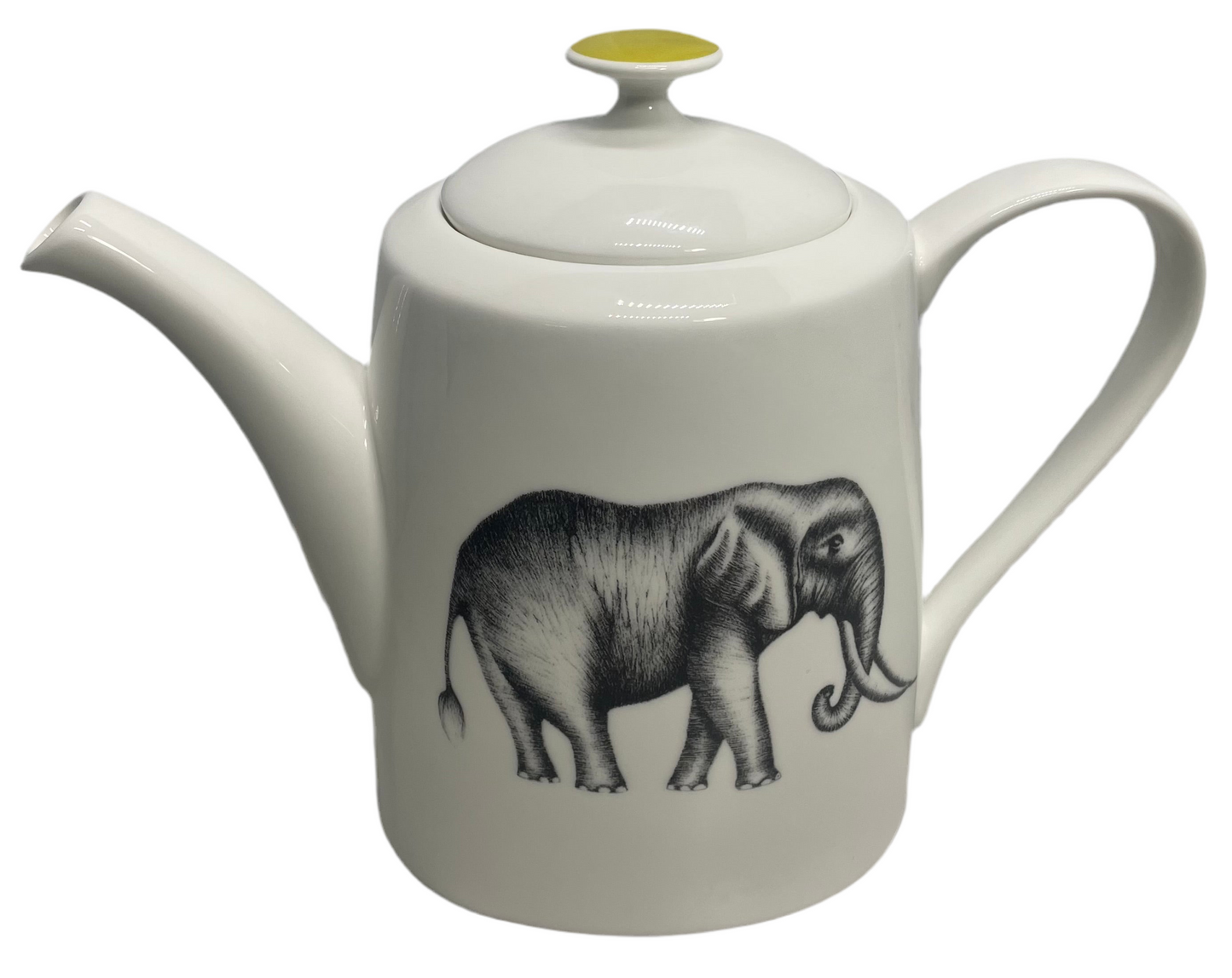 Churchill Harlequin Amazilia Elephant Bone China Teapot 7" x 9"