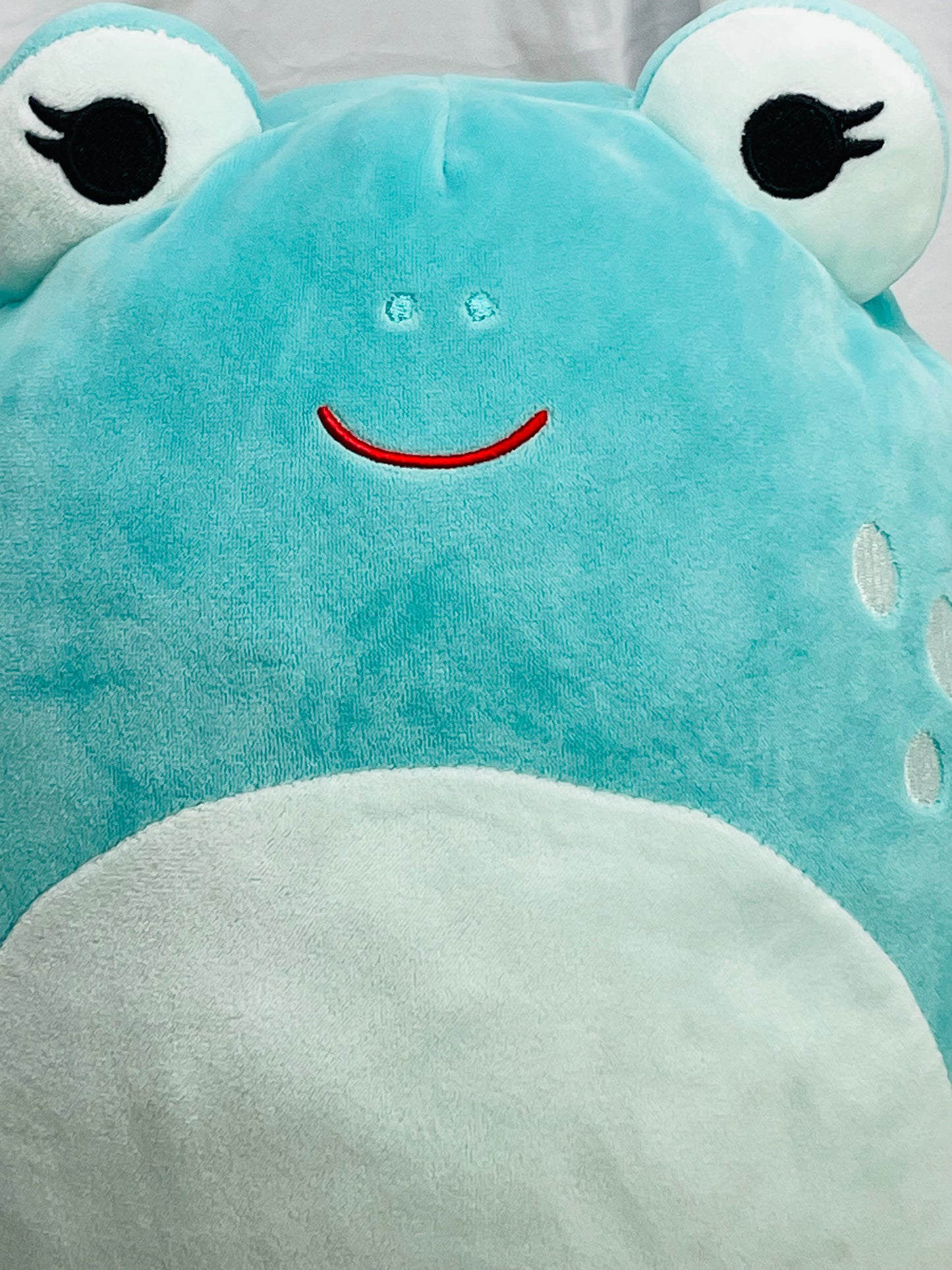 Squishmallows 12" Novi Teal Frog LT WEAR Freshly Laundered