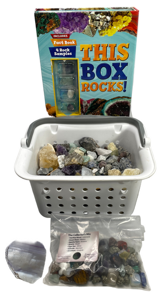 Rock Collection Rough Crystals Gemstones 6 lbs of fun! + Fact Book & Samples LOT