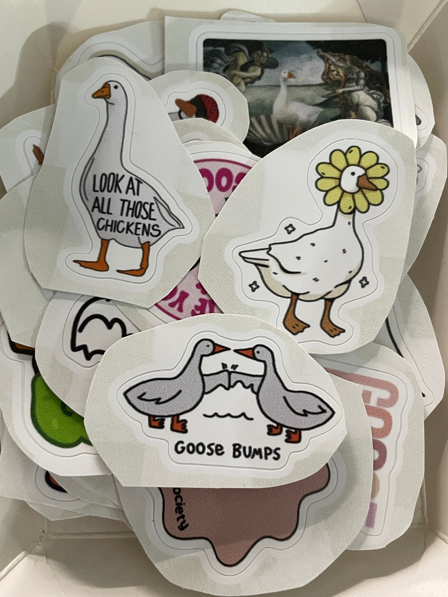 100Pcs Silly Goose Stickers for Laptop - Funny Sarcastic Decals Vinyl Stickers Goose Party Favors PRE CUT