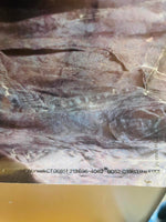 1983 The Fixx Band Poster HAS WEAR